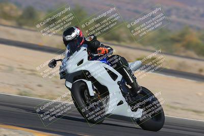 media/Nov-12-2023-SoCal Trackdays (Sun) [[5d1fba4e7d]]/Turn 14 (1035am)/